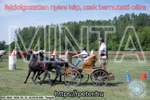 Mintakép 20260531-868