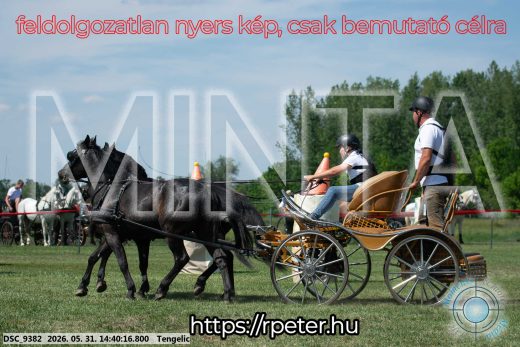 Mintakép 20260531-871