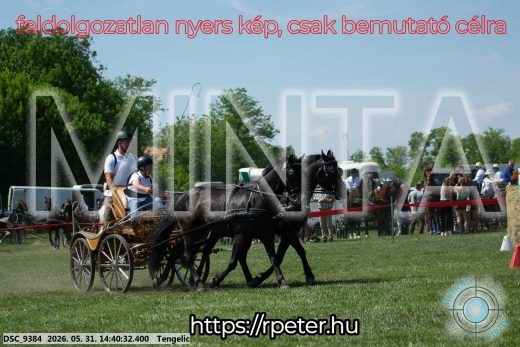 Mintakép 20260531-872