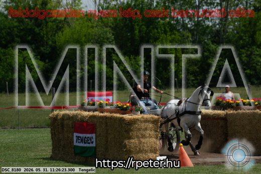 Mintakép 20260531-886