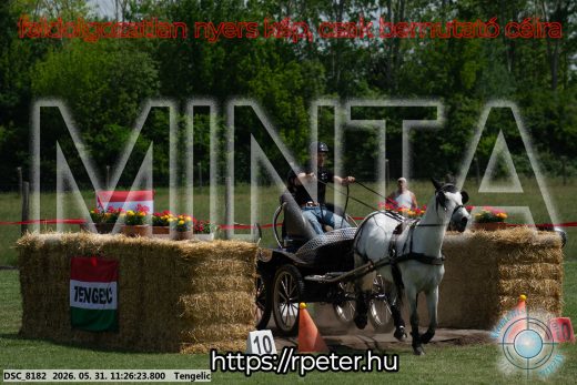 Mintakép 20260531-888