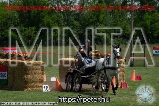 Mintakép 20260531-889