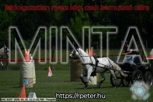 Mintakép 20260531-892