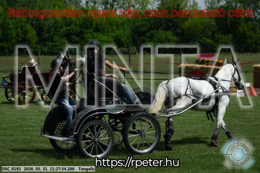 Mintakép 20260531-897