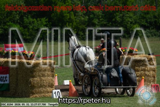 Mintakép 20260531-899