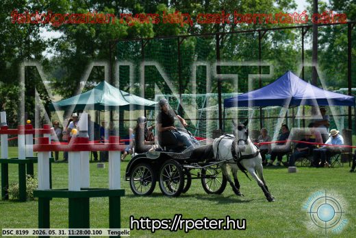 Mintakép 20260531-902