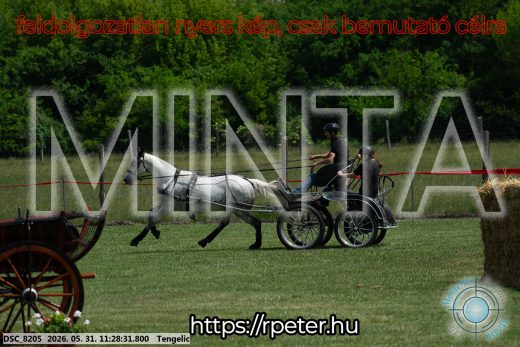 Mintakép 20260531-906