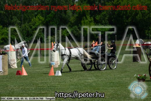 Mintakép 20260531-907