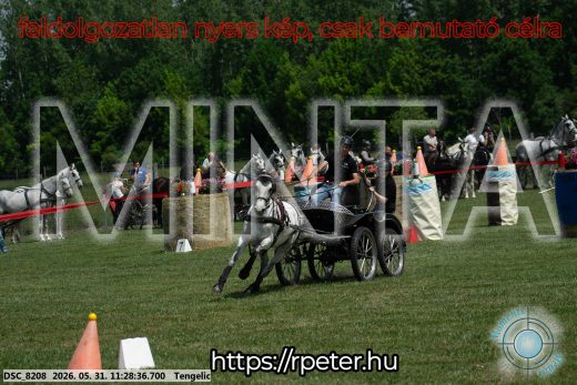 Mintakép 20260531-908