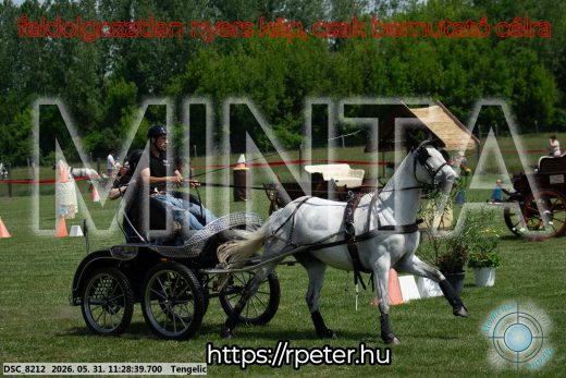 Mintakép 20260531-911