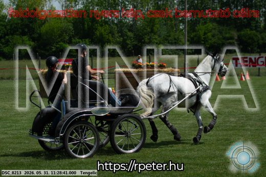 Mintakép 20260531-912