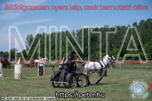 Mintakép 20260531-919