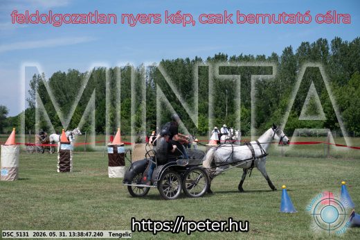Mintakép 20260531-920