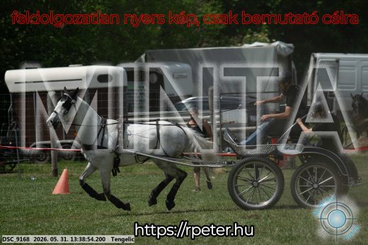 Mintakép 20260531-924
