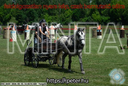 Mintakép 20260531-935