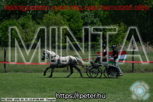 Mintakép 20260531-940
