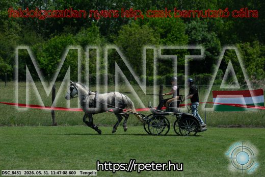 Mintakép 20260531-941