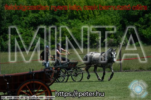Mintakép 20260531-944