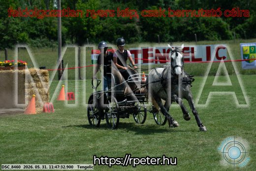 Mintakép 20260531-949