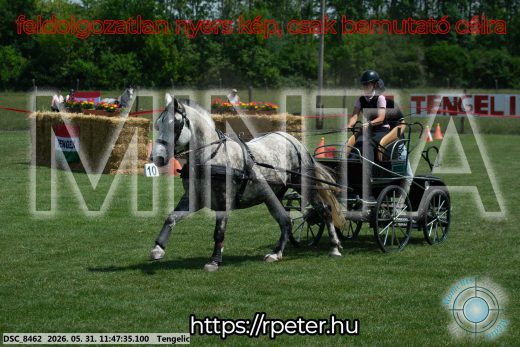 Mintakép 20260531-950