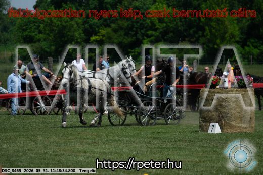Mintakép 20260531-951