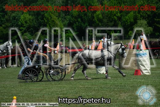 Mintakép 20260531-953