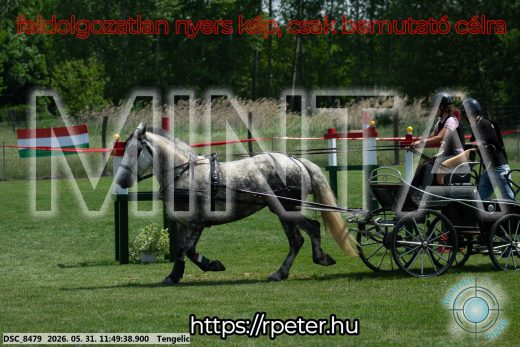 Mintakép 20260531-961