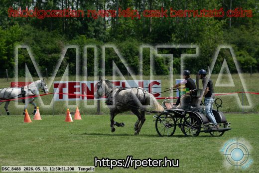 Mintakép 20260531-965