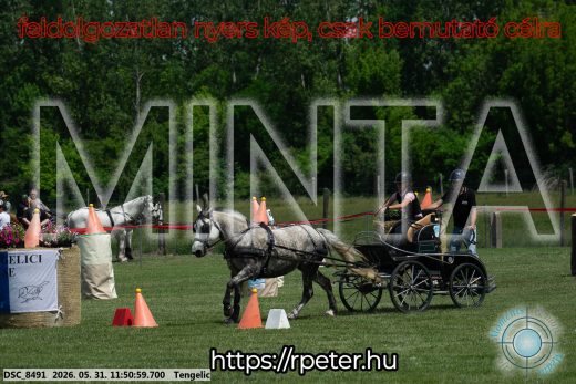 Mintakép 20260531-966