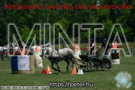Mintakép 20260531-967