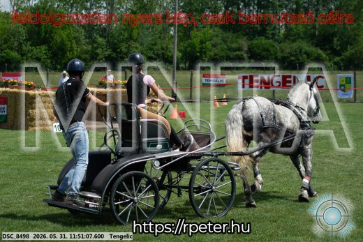 Mintakép 20260531-973