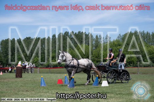 Mintakép 20260531-978