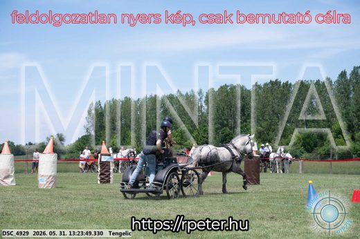 Mintakép 20260531-981