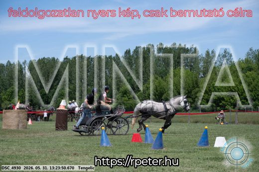 Mintakép 20260531-982