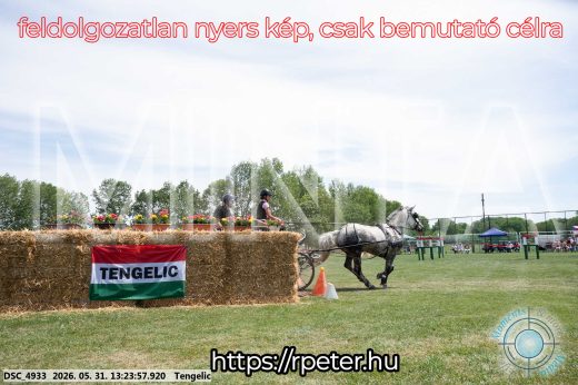 Mintakép 20260531-985