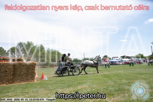 Mintakép 20260531-987