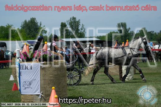 Mintakép 20260531-989