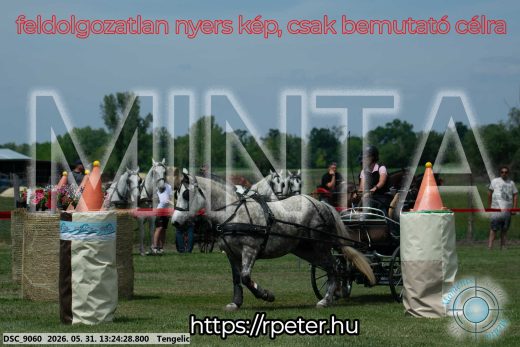 Mintakép 20260531-990