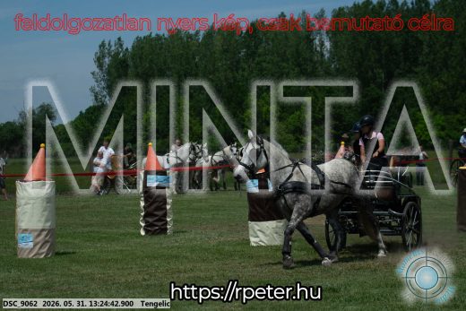 Mintakép 20260531-991