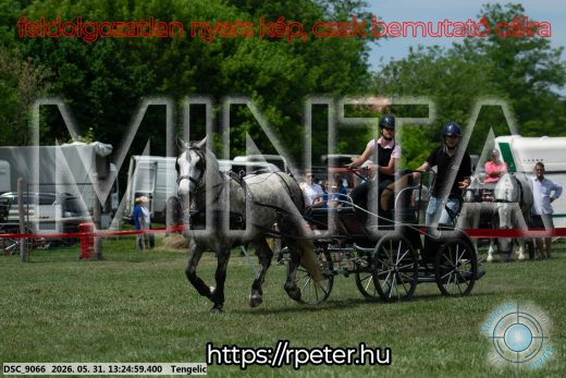 Mintakép 20260531-993