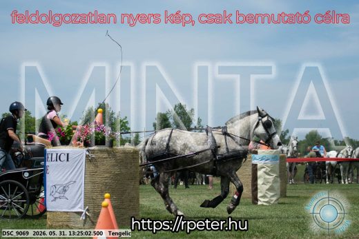 Mintakép 20260531-994