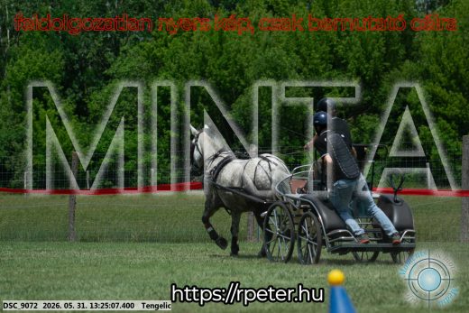 Mintakép 20260531-997