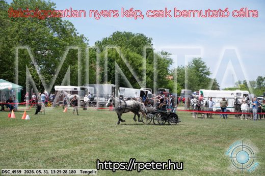 Mintakép 20260531-999