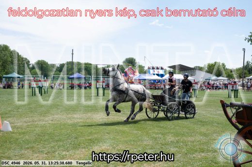 Mintakép 20260531-1005