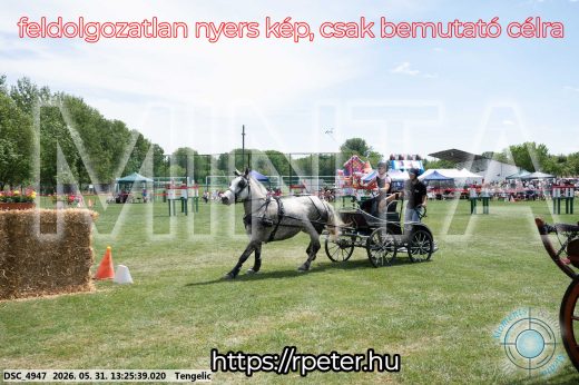 Mintakép 20260531-1006