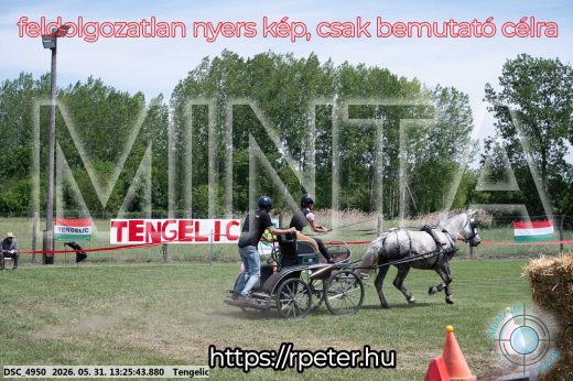 Mintakép 20260531-1009