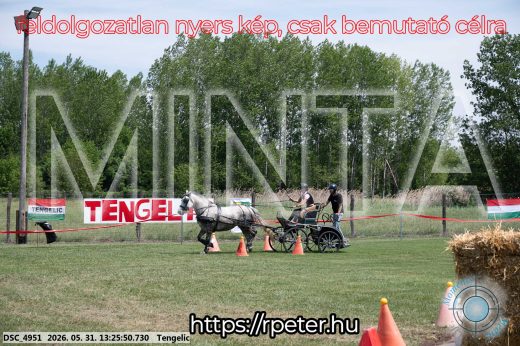 Mintakép 20260531-1010