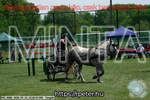Mintakép 20260531-1016