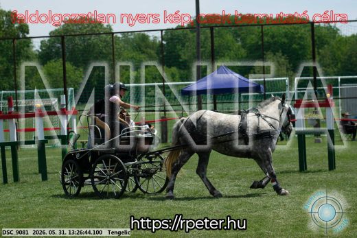 Mintakép 20260531-1017