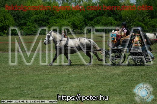 Mintakép 20260531-1020